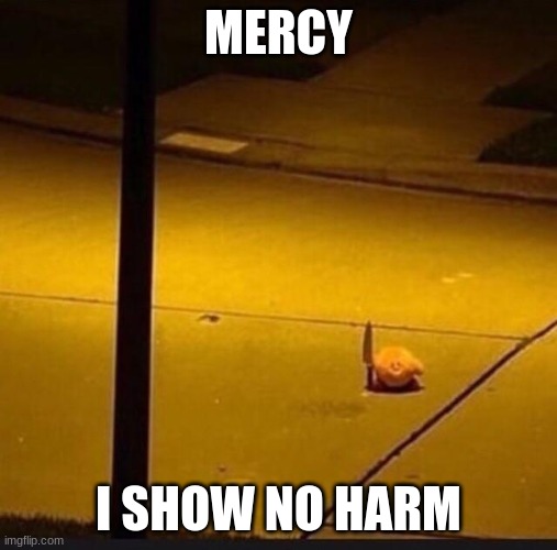 Kirby with a  knife |  MERCY; I SHOW NO HARM | image tagged in kirby with knife 2 | made w/ Imgflip meme maker