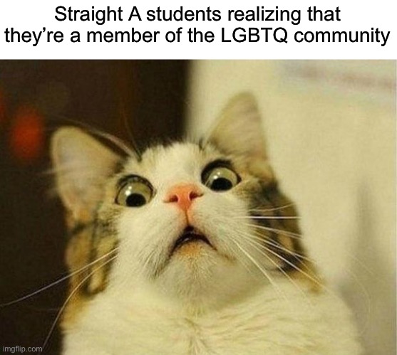 Scared Cat Meme | Straight A students realizing that they’re a member of the LGBTQ community | image tagged in memes,scared cat | made w/ Imgflip meme maker
