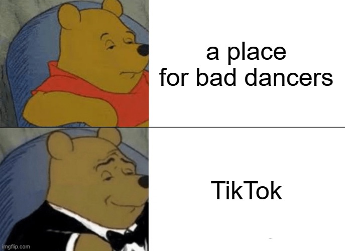 don't use tiktok if you want a good life | a place for bad dancers; TikTok | image tagged in memes,tuxedo winnie the pooh | made w/ Imgflip meme maker
