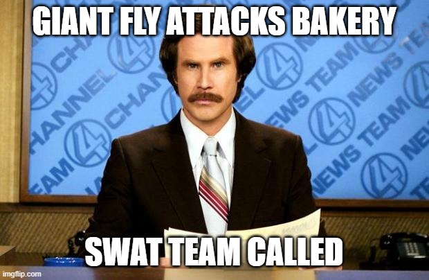 Hat tip Bob and Tom. |  GIANT FLY ATTACKS BAKERY; SWAT TEAM CALLED | image tagged in breaking news,bad puns,funny memes,fly,puppies and kittens | made w/ Imgflip meme maker