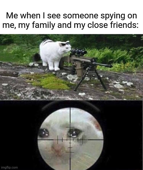 Spying | Me when I see someone spying on me, my family and my close friends: | image tagged in sniper cat,spy,spying,funny,memes,meme | made w/ Imgflip meme maker
