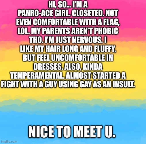 This is an alt BTW. | HI, SO… I’M A PANRO-ACE GIRL. CLOSETED. NOT EVEN COMFORTABLE WITH A FLAG, LOL. MY PARENTS AREN’T PHOBIC THO. I’M JUST NERVOUS. I LIKE MY HAIR LONG AND FLUFFY, BUT FEEL UNCOMFORTABLE IN DRESSES. ALSO, KINDA TEMPERAMENTAL. ALMOST STARTED A FIGHT WITH A GUY USING GAY AS AN INSULT. NICE TO MEET U. | image tagged in pan flag | made w/ Imgflip meme maker