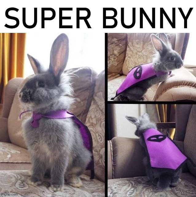 SUPER BUNNY | image tagged in bunnies | made w/ Imgflip meme maker