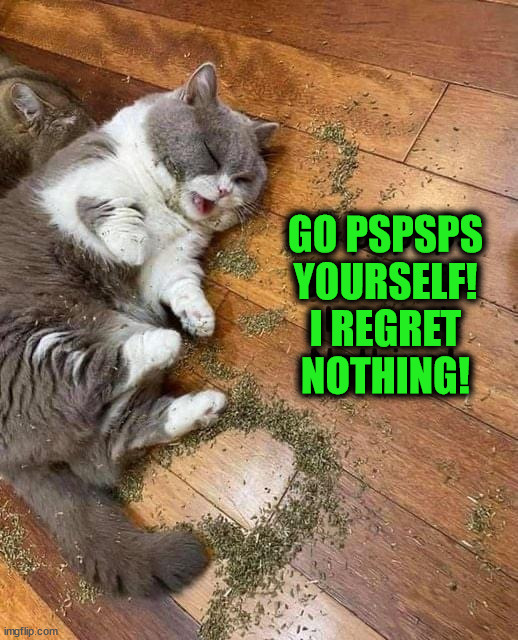GO PSPSPS
YOURSELF!
I REGRET
NOTHING! | image tagged in cats | made w/ Imgflip meme maker