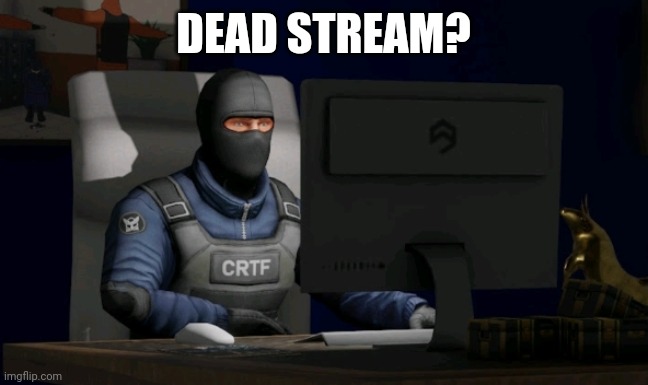 counter-terrorist looking at the computer | DEAD STREAM? | image tagged in computer | made w/ Imgflip meme maker