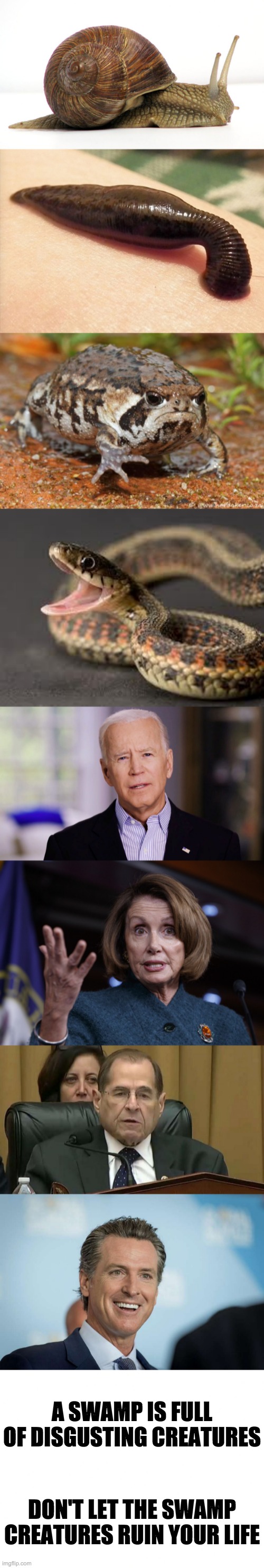 Swamp Creatures are Disgusting | A SWAMP IS FULL OF DISGUSTING CREATURES; DON'T LET THE SWAMP CREATURES RUIN YOUR LIFE | image tagged in memes,grumpy toad,warning snake,joe biden 2020,good old nancy pelosi,rep jerry nadler | made w/ Imgflip meme maker