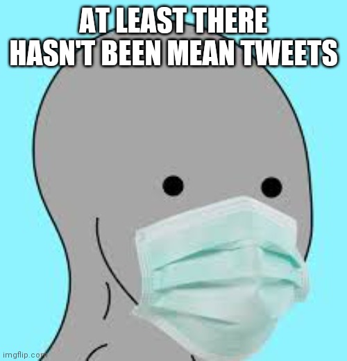 Masked | AT LEAST THERE HASN'T BEEN MEAN TWEETS | image tagged in masked | made w/ Imgflip meme maker