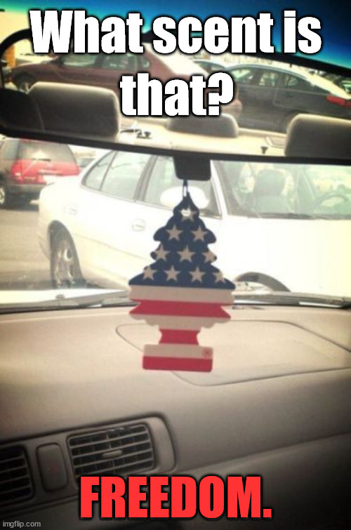 What scent is; that? FREEDOM. | image tagged in conservatives | made w/ Imgflip meme maker