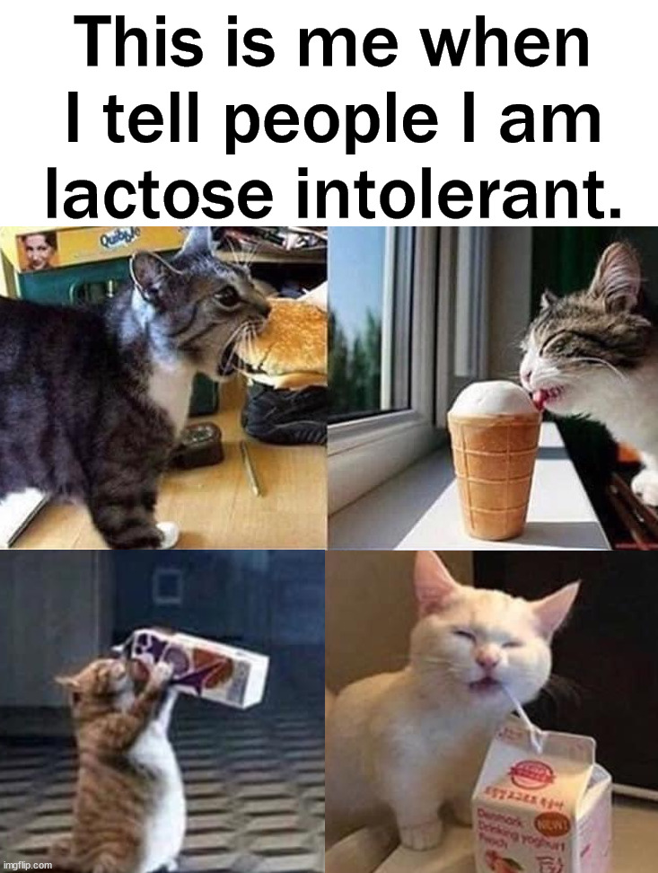 Worth the pain. | This is me when I tell people I am lactose intolerant. | image tagged in lactose intolerant,eating,stomach | made w/ Imgflip meme maker