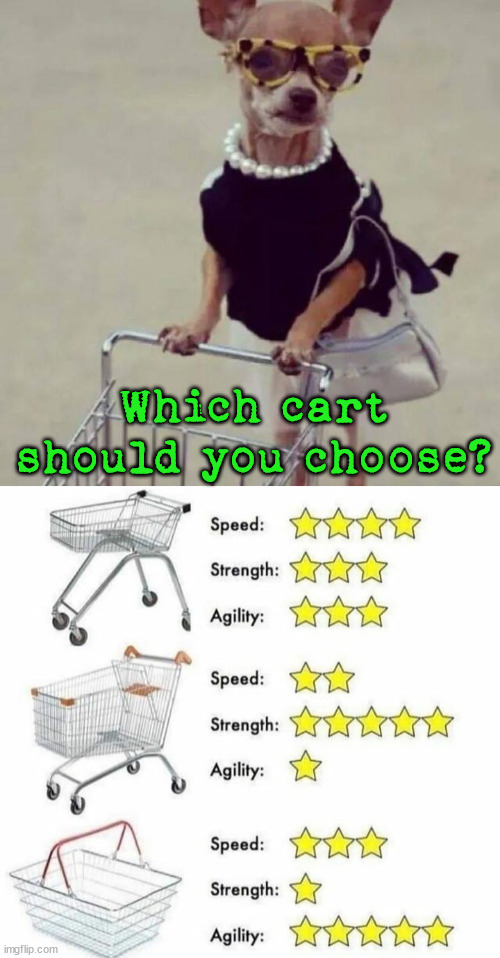 Which cart should you choose? | image tagged in shopping | made w/ Imgflip meme maker