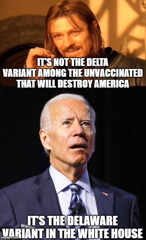 IT'S NOT THE DELTA VARIANT AMONG THE UNVACCINATED THAT WILL DESTROY AMERICA; IT'S THE DELAWARE VARIANT IN THE WHITE HOUSE | image tagged in memes,one does not simply,joe biden | made w/ Imgflip meme maker