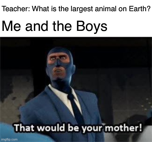Back to the old joke | Teacher: What is the largest animal on Earth? Me and the Boys | image tagged in that would be your mother | made w/ Imgflip meme maker
