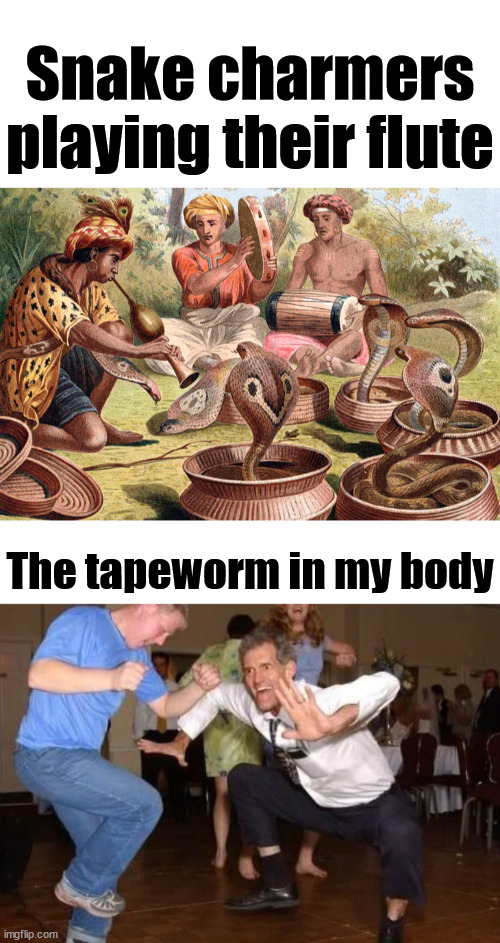 Snake charmers playing their flute; The tapeworm in my body | image tagged in snake charmer,worms | made w/ Imgflip meme maker