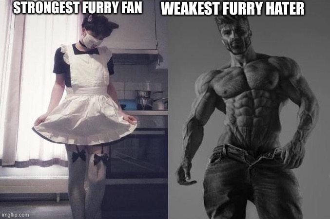 Strongest Fan VS Weakest Fan | STRONGEST FURRY FAN; WEAKEST FURRY HATER | image tagged in strongest fan vs weakest fan | made w/ Imgflip meme maker