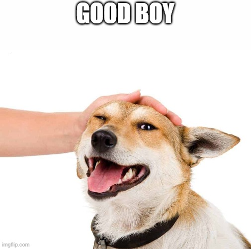 Petting a Dog | GOOD BOY | image tagged in petting a dog | made w/ Imgflip meme maker