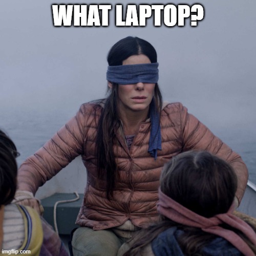 Bird Box Meme | WHAT LAPTOP? | image tagged in memes,bird box | made w/ Imgflip meme maker