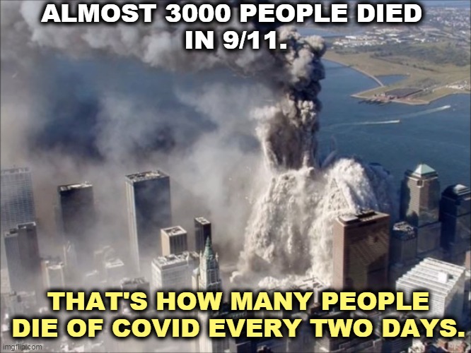 WTC Collapse | ALMOST 3000 PEOPLE DIED 
IN 9/11. THAT'S HOW MANY PEOPLE DIE OF COVID EVERY TWO DAYS. | image tagged in wtc collapse,covid-19,dead | made w/ Imgflip meme maker