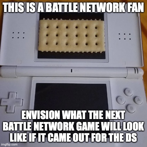 Next Battle Network Game | THIS IS A BATTLE NETWORK FAN; ENVISION WHAT THE NEXT BATTLE NETWORK GAME WILL LOOK LIKE IF IT CAME OUT FOR THE DS | image tagged in megaman,megaman battle network,gaming,memes | made w/ Imgflip meme maker