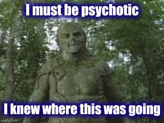 Swamp thing  | I must be psychotic I knew where this was going | image tagged in swamp thing | made w/ Imgflip meme maker