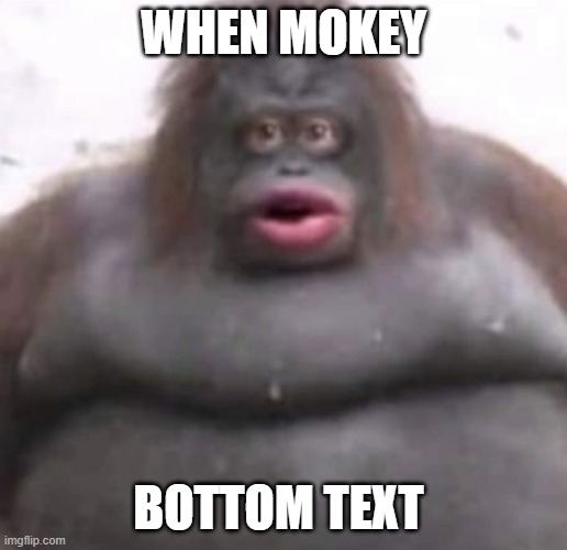 . | WHEN MOKEY; BOTTOM TEXT | image tagged in le monke | made w/ Imgflip meme maker