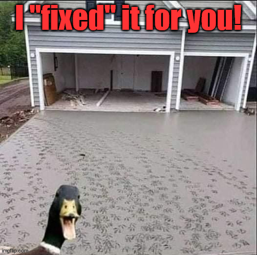 I "fixed" it for you! | image tagged in ducks | made w/ Imgflip meme maker