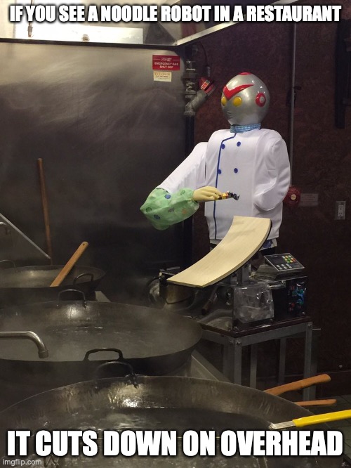 Noddle Robot | IF YOU SEE A NOODLE ROBOT IN A RESTAURANT; IT CUTS DOWN ON OVERHEAD | image tagged in robot,restaurant,memes | made w/ Imgflip meme maker