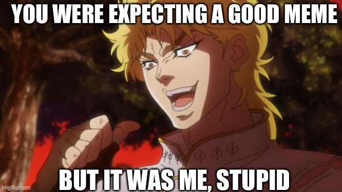 Good meme? Nah... | YOU WERE EXPECTING A GOOD MEME; BUT IT WAS ME, STUPID | image tagged in but it was me dio | made w/ Imgflip meme maker