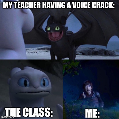 my teacher tho XD | MY TEACHER HAVING A VOICE CRACK:; THE CLASS:; ME: | image tagged in night fury | made w/ Imgflip meme maker