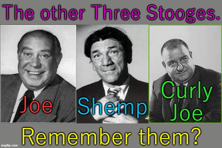They were funny too. |  The other Three Stooges. Curly
Joe; Joe; Shemp; Remember them? | image tagged in classic movies,comedy,shorts | made w/ Imgflip meme maker