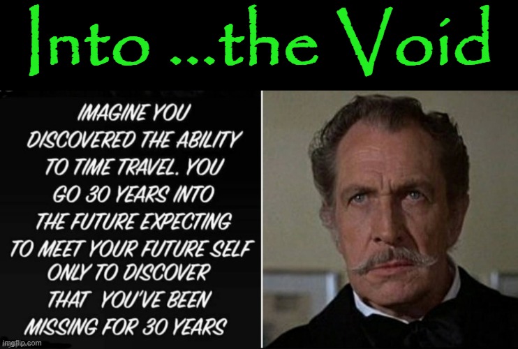 The Void |  Into ...the Void | image tagged in vincent price | made w/ Imgflip meme maker