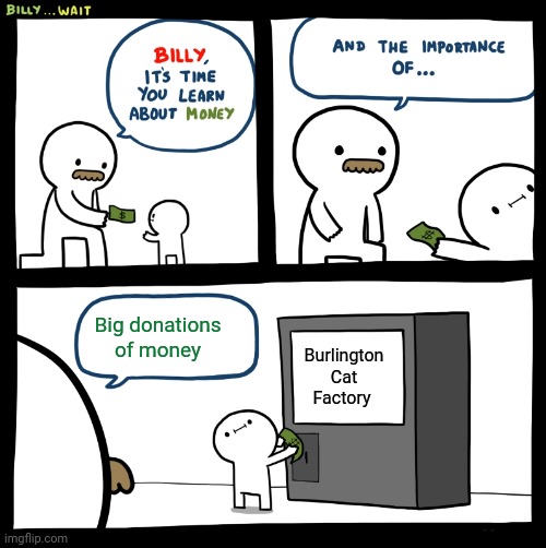 Big donations of money | Big donations of money; Burlington Cat Factory | image tagged in billy no,comment section,memes,meme,comments,comment | made w/ Imgflip meme maker