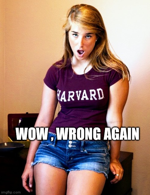 WOW , WRONG AGAIN | image tagged in what the fuque | made w/ Imgflip meme maker