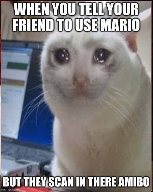 Happens all the time | WHEN YOU TELL YOUR FRIEND TO USE MARIO; BUT THEY SCAN IN THERE AMIBO | image tagged in super smash bros ultimate x blank | made w/ Imgflip meme maker