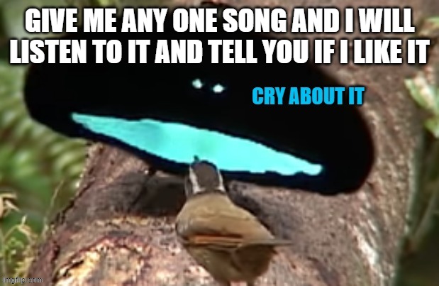 cry about it birb | GIVE ME ANY ONE SONG AND I WILL LISTEN TO IT AND TELL YOU IF I LIKE IT | image tagged in cry about it birb | made w/ Imgflip meme maker