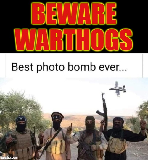 Photo Bomb ! | BEWARE
WARTHOGS | image tagged in hogwarts | made w/ Imgflip meme maker
