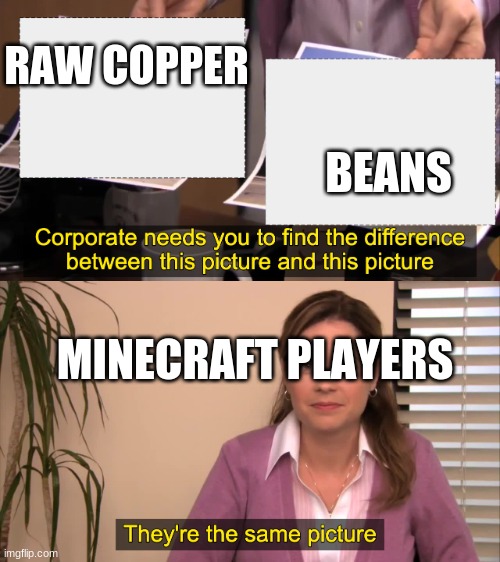 there the same picture | RAW COPPER; BEANS; MINECRAFT PLAYERS | image tagged in there the same picture | made w/ Imgflip meme maker