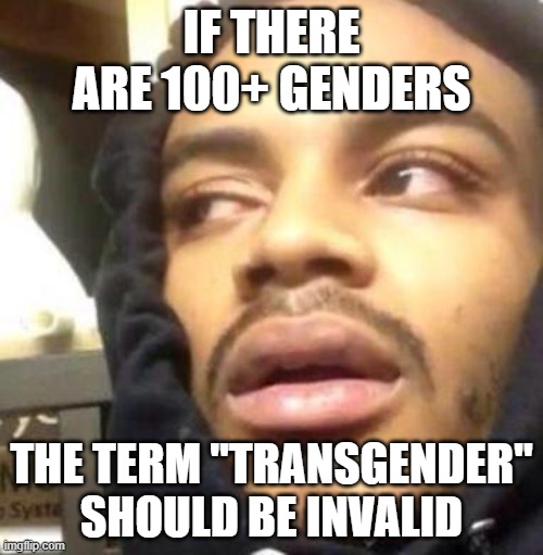 Hits Blunt | IF THERE ARE 100+ GENDERS; THE TERM "TRANSGENDER" SHOULD BE INVALID | image tagged in hits blunt | made w/ Imgflip meme maker