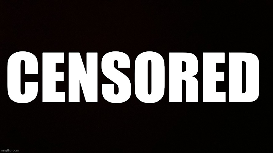 Blank censor | CENSORED | image tagged in blank censor | made w/ Imgflip meme maker