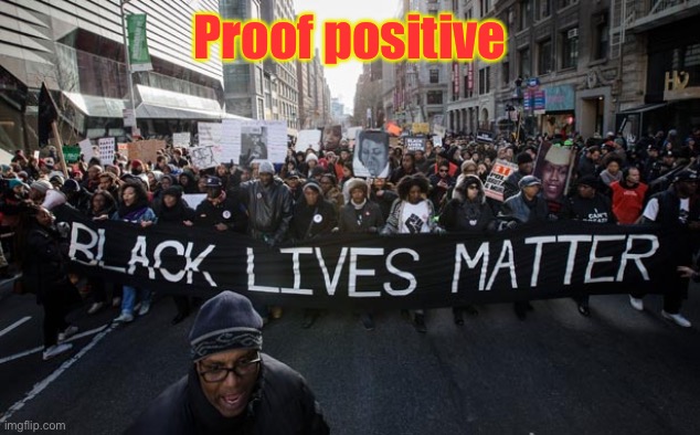 Black lives matter | Proof positive | image tagged in black lives matter | made w/ Imgflip meme maker