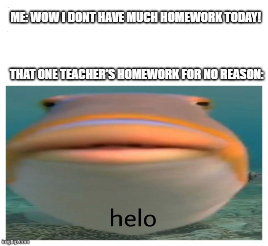 WHY | ME: WOW I DONT HAVE MUCH HOMEWORK TODAY! THAT ONE TEACHER'S HOMEWORK FOR NO REASON: | image tagged in helo fish | made w/ Imgflip meme maker