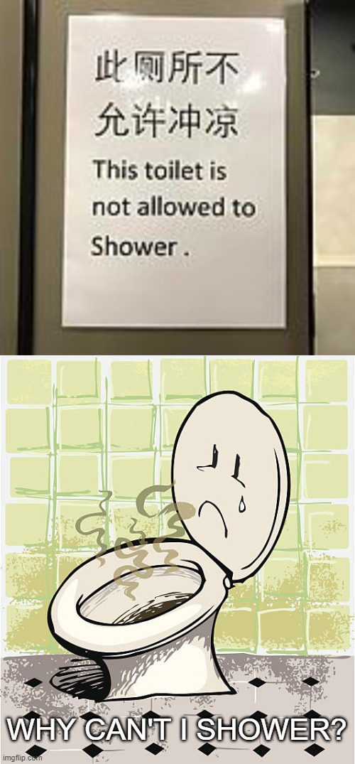Toilet is not allowed to shower | WHY CAN'T I SHOWER? | image tagged in funny | made w/ Imgflip meme maker