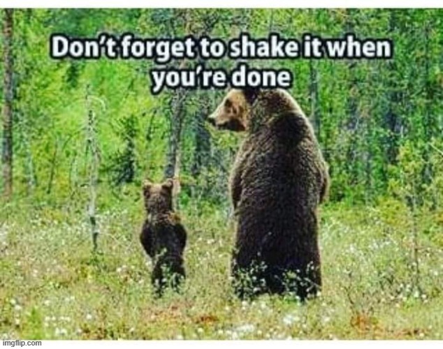 Shake it son ! | image tagged in da bears | made w/ Imgflip meme maker