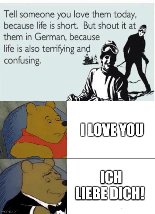 Ich werde dich nicht enttäuschen | I LOVE YOU; ICH LIEBE DICH! | image tagged in memes,tuxedo winnie the pooh,german,i love you | made w/ Imgflip meme maker