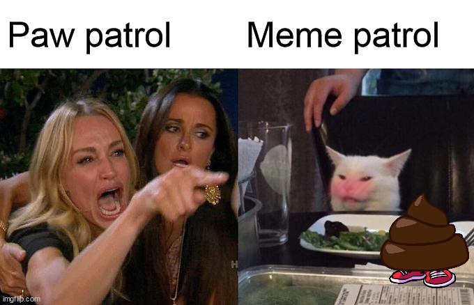 Woman Yelling At Cat | Paw patrol; Meme patrol | image tagged in memes,woman yelling at cat | made w/ Imgflip meme maker