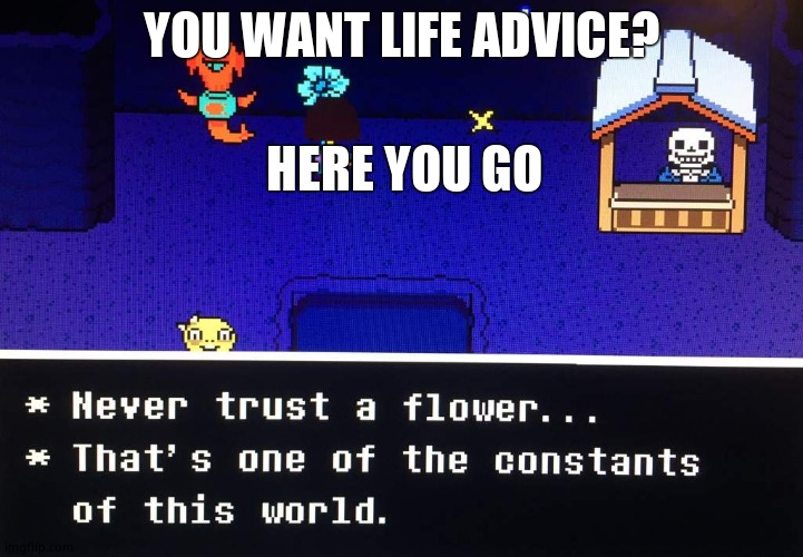 never trust a flower | YOU WANT LIFE ADVICE? HERE YOU GO | image tagged in never trust a flower | made w/ Imgflip meme maker