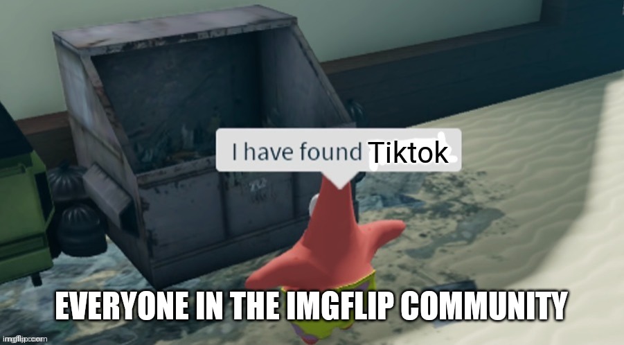 I have found tiktok | Tiktok; EVERYONE IN THE IMGFLIP COMMUNITY | image tagged in i have found x | made w/ Imgflip meme maker