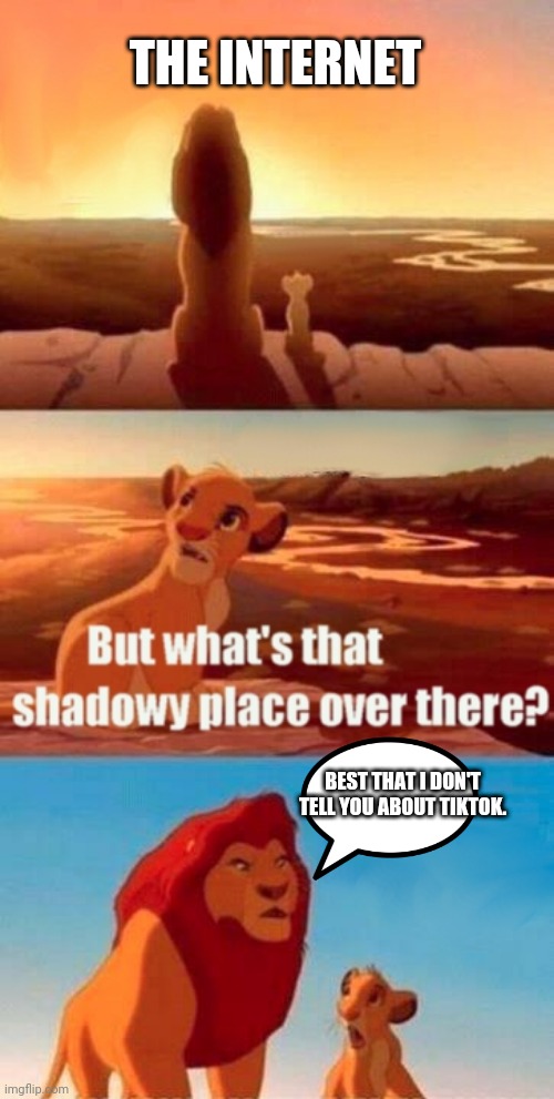 TikTok is cringe | THE INTERNET; BEST THAT I DON'T TELL YOU ABOUT TIKTOK. | image tagged in memes,simba shadowy place,tiktok sucks | made w/ Imgflip meme maker