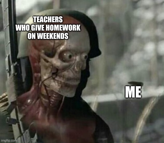 Sniper Elite Shot Template | TEACHERS WHO GIVE HOMEWORK ON WEEKENDS; ME | image tagged in sniper elite shot template | made w/ Imgflip meme maker