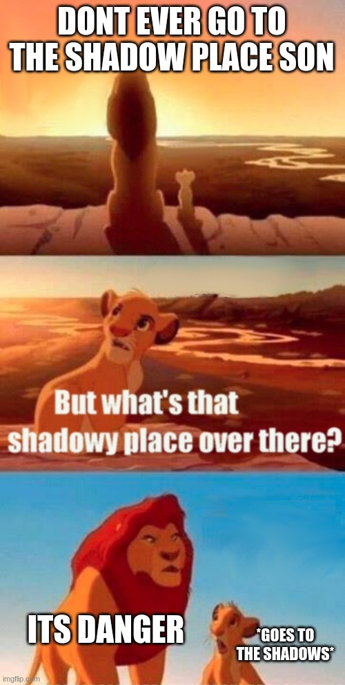 Simba Shadowy Place | DONT EVER GO TO THE SHADOW PLACE SON; ITS DANGER; *GOES TO THE SHADOWS* | image tagged in memes,simba shadowy place | made w/ Imgflip meme maker