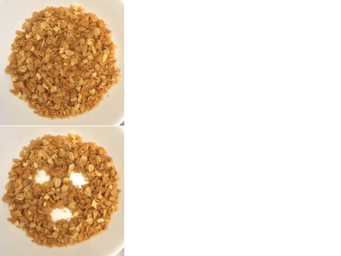 High Quality Surprised Oatmeal Blank Meme Template